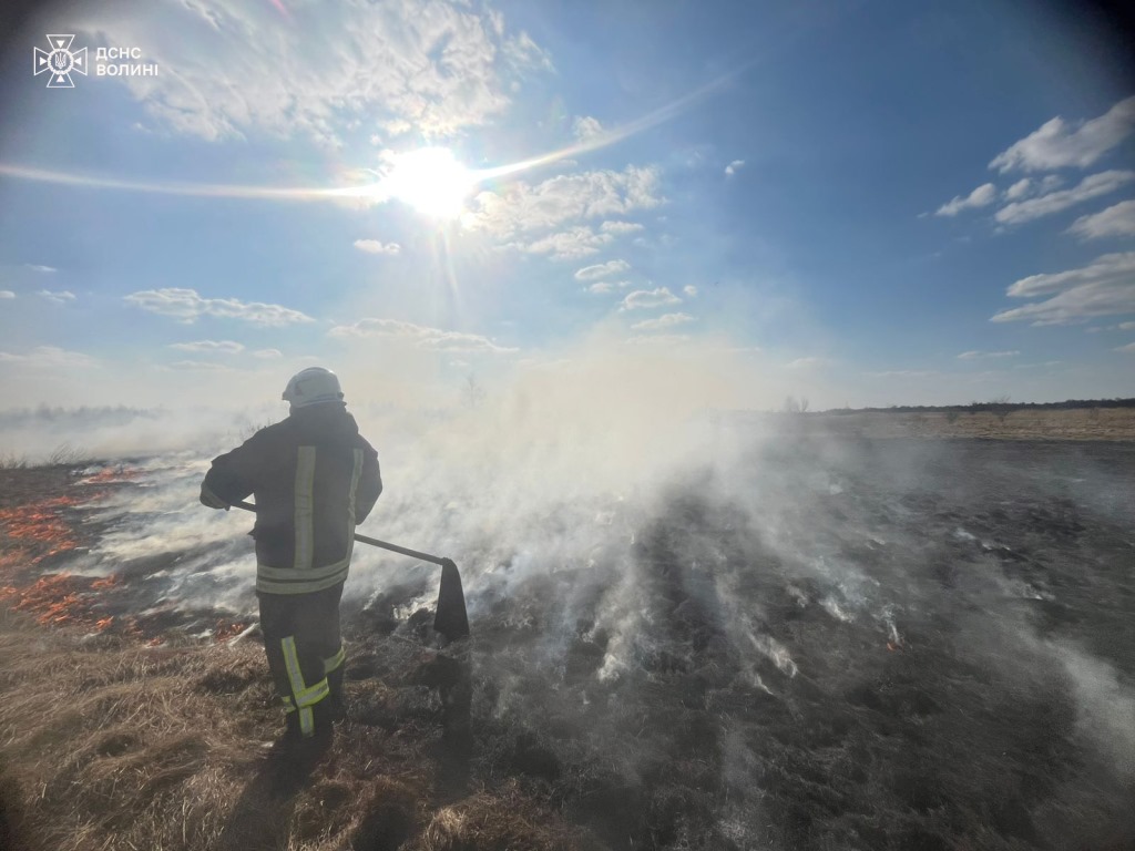 За добу рятувальники Волині ліквідували 17 пожеж в екосистемах