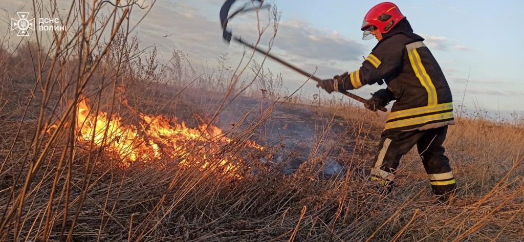За добу рятувальники Волині ліквідували 17 пожеж в екосистемах