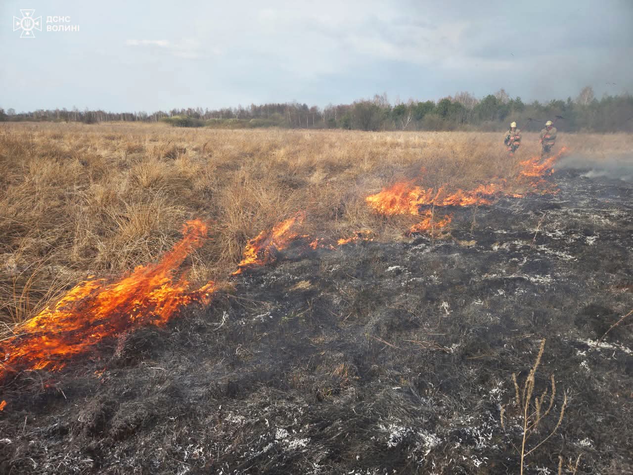 Минулої доби на Волині трапилося 10 пожеж в екосистемах