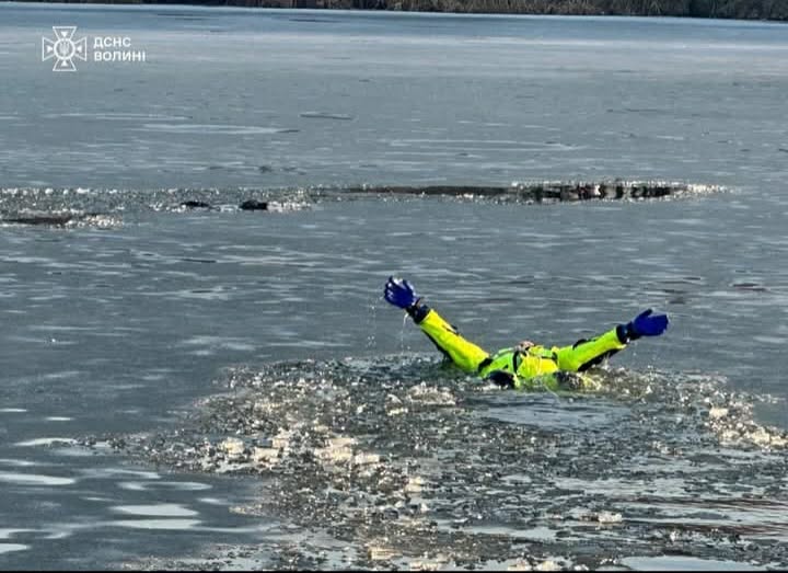 У Нововолинську з крижаної води врятували собаку