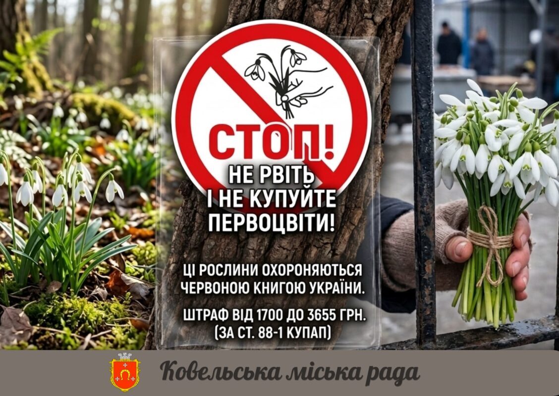 Не варто зривати і заборонено продавати: мешканців Ковельської громади закликали берегти первоцвіти