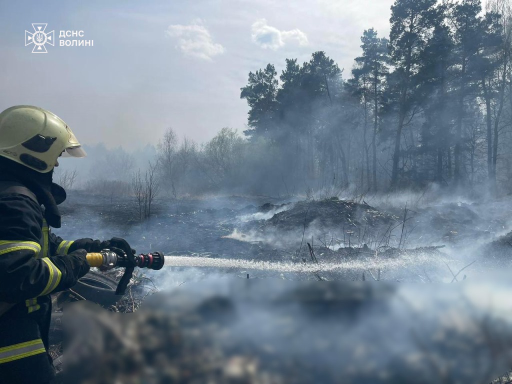 За добу на Волині ліквідували вісім пожеж в екосистемах