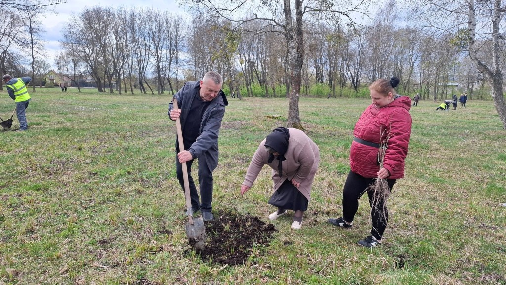 У Камінь-Каширській громаді висадили алею дубів на честь полеглих воїнів