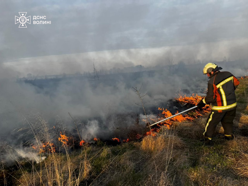За добу на Волині ліквідували вісім пожеж в екосистемах