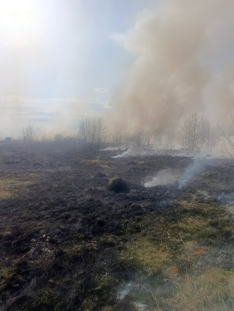 Рятувальники Волині ліквідували чотири пожежі в екосистемах за добу