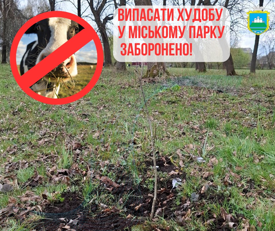 У Камені-Каширському закликають жителів не випасати корів у міському парку