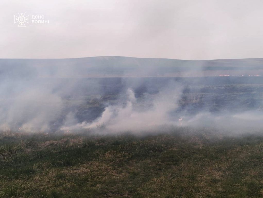 Минулої доби рятувальники Волині ліквідували чотири пожежі в екосистемах