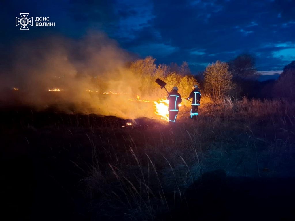 Минулої доби рятувальники Волині ліквідували чотири пожежі в екосистемах