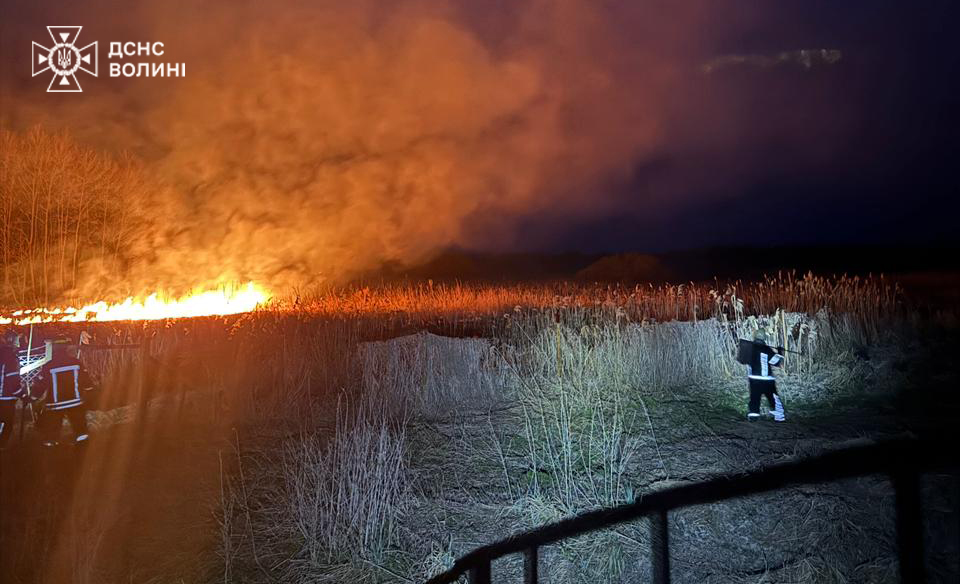 На Волині ліквідували пожежі сухої трави та господарської споруди
