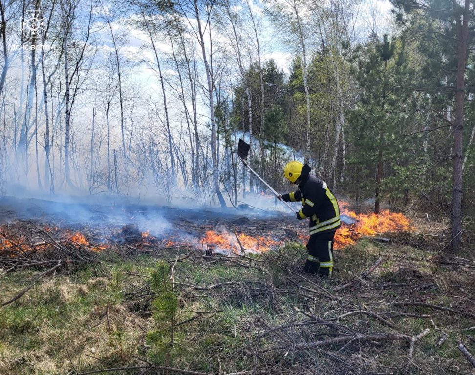 На Ковельщині рятувальники ліквідували лісову пожежу
