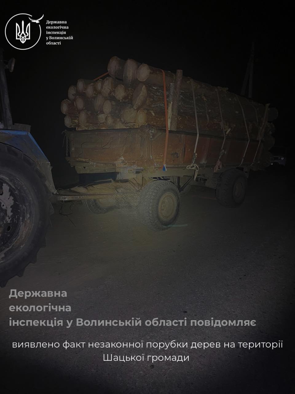 У Шацькій громаді виявили незаконну рубку дерев