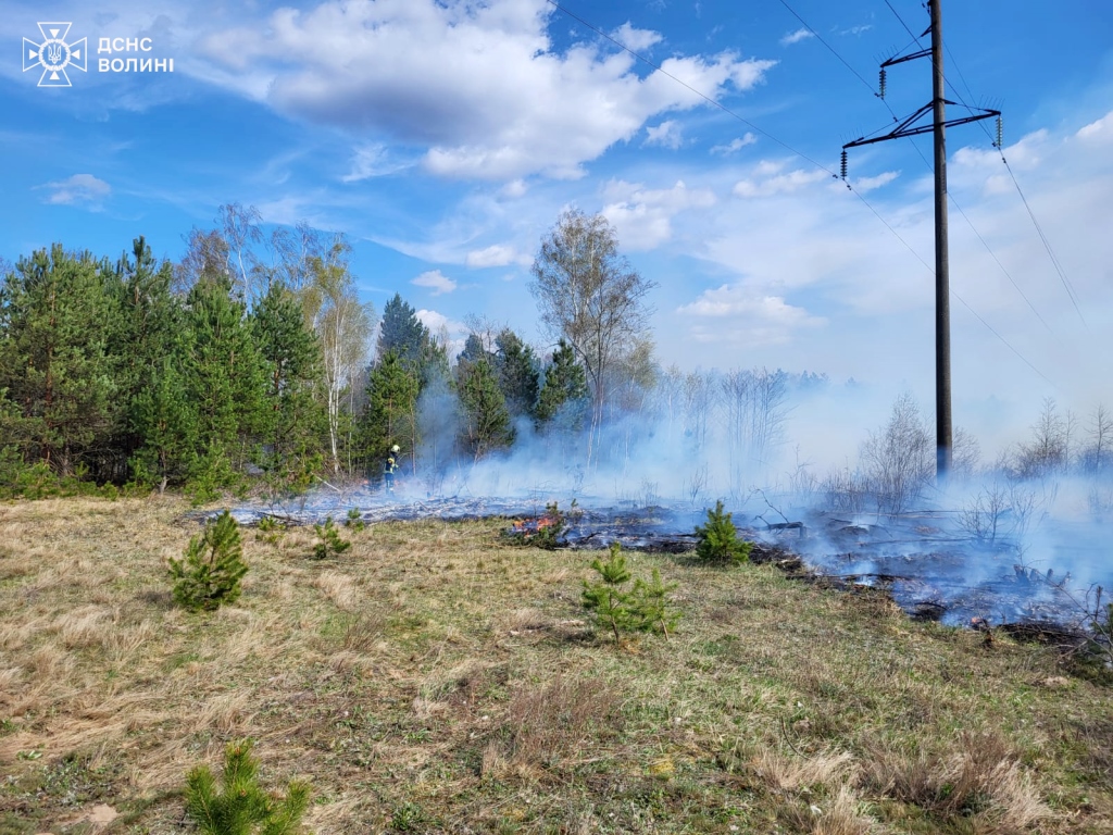 На Волині ліквідували кілька пожеж у лісах та чагарниках
