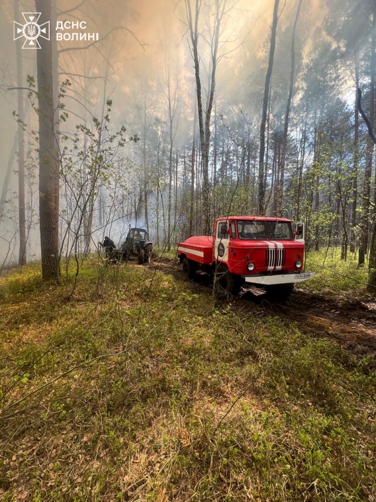 На Волині ліквідували кілька пожеж у лісах та чагарниках