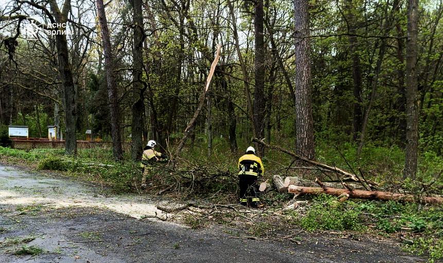Пошкодження будівель та повалені дерева: волинських рятувальників залучали до ліквідації наслідків негоди