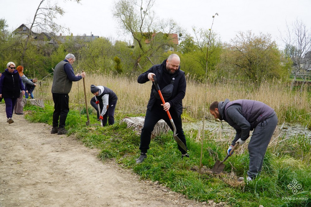 У Володимирі висадили понад 60 молодих дерев