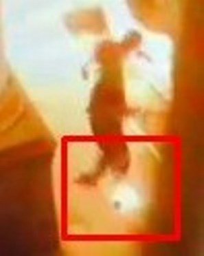 У Луцьку поліцейські та працівники СБУ оперативно розкрили підпал двох установ