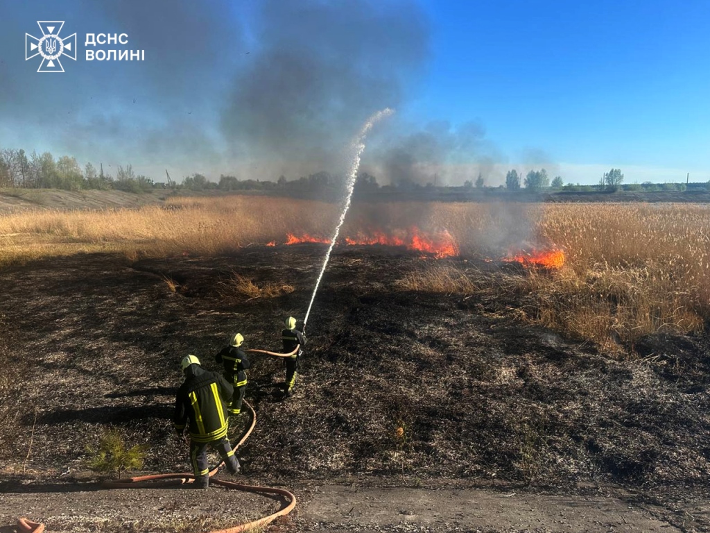 За добу на Волині ліквідували десять пожеж на відкритій місцевості