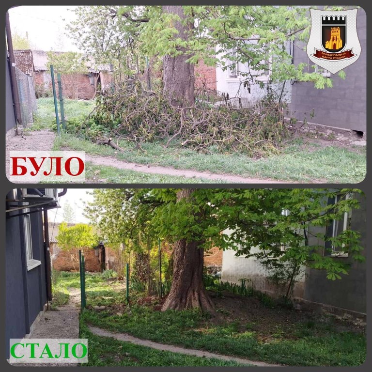 У Луцьку виявили звалювання гілля на вулиці Ковельській