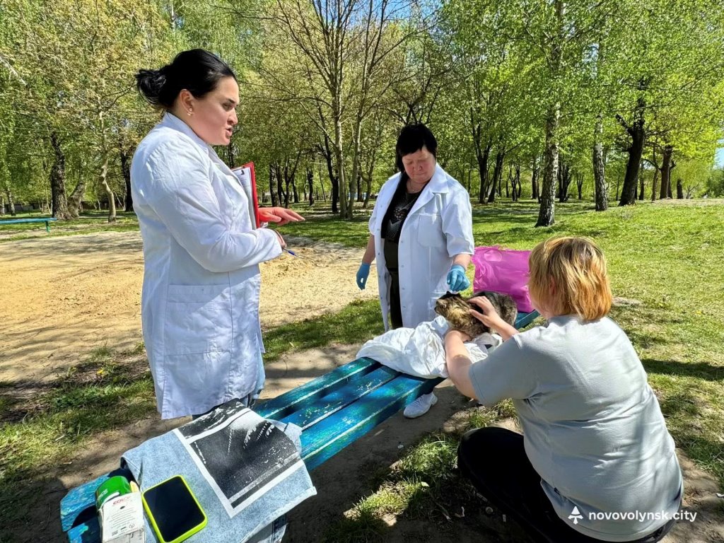 У Нововолинську провакцинували від сказу понад 30 домашніх улюбленців