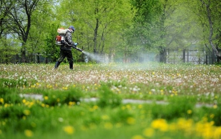 У Володимирі здійснюватимуть акарицидну обробку парків та скверів