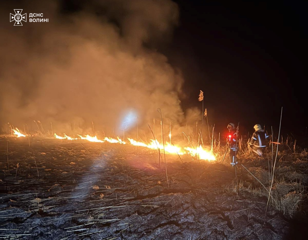 На Волині горіло понад сім гектарів сухої трави та чагарників