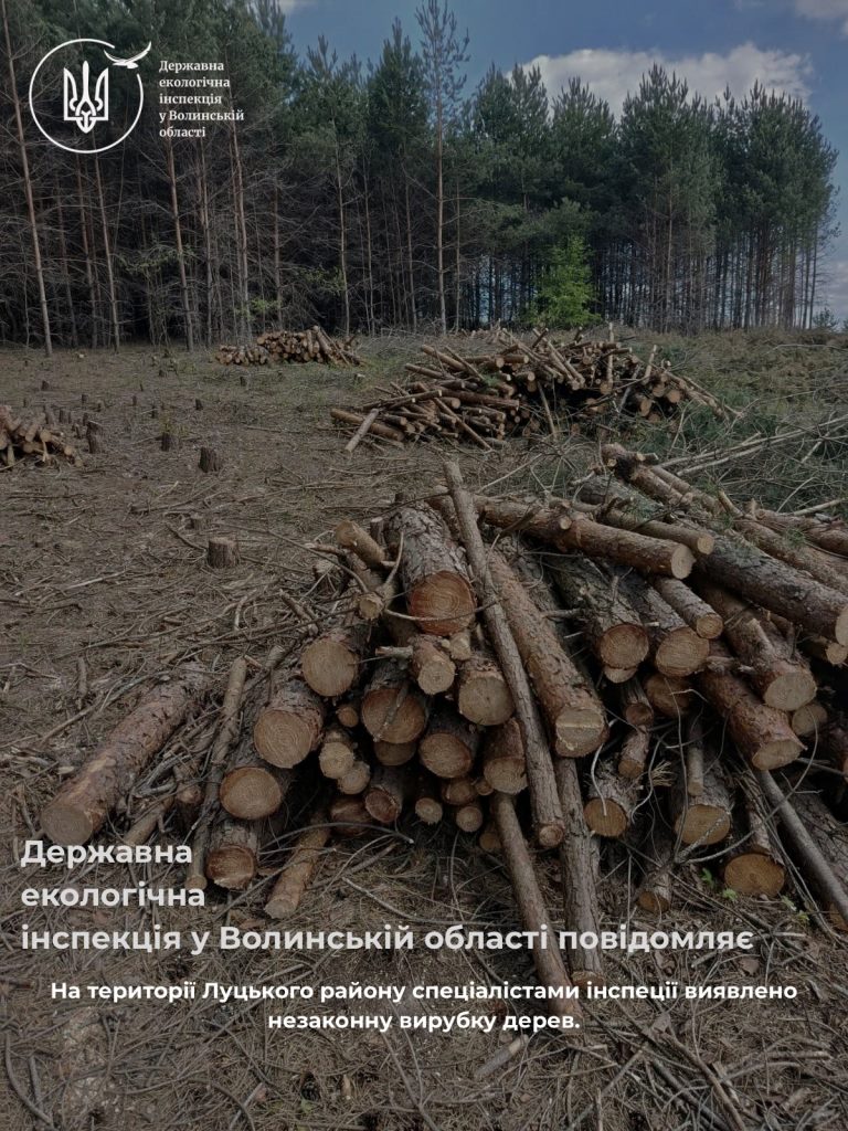 На території Луцького району виявили незаконну вирубку дерев