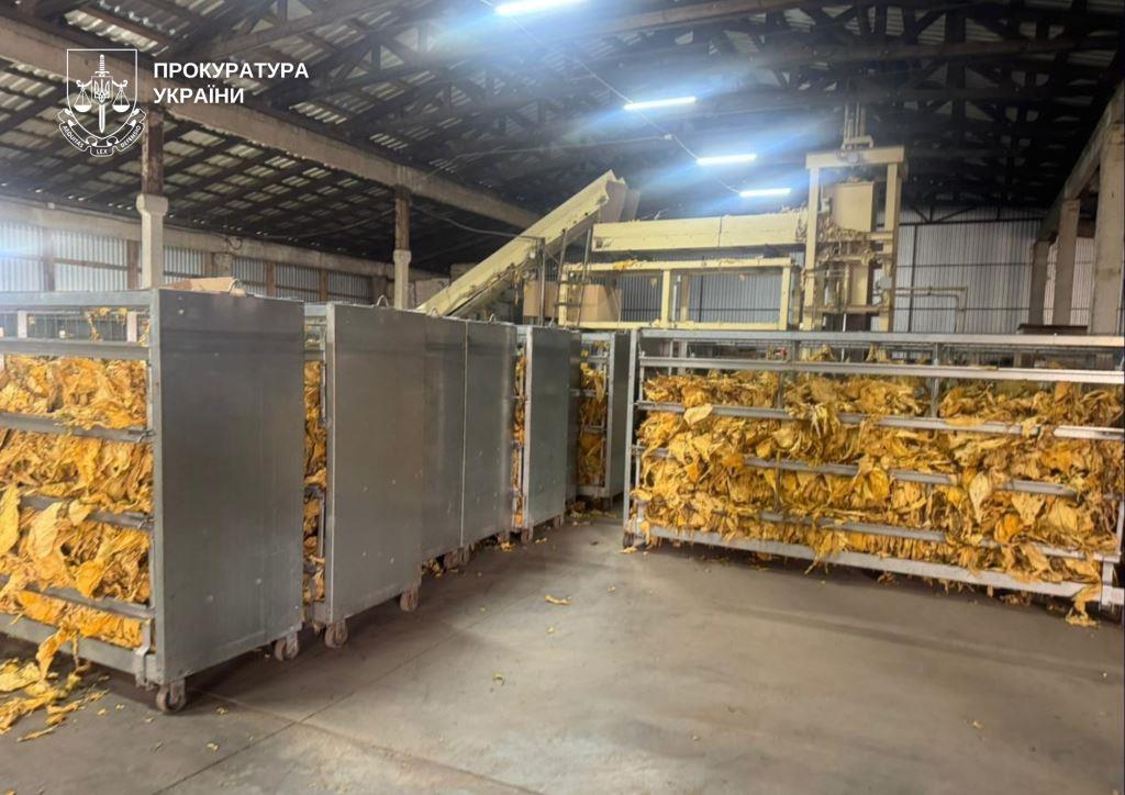 Контрафактна продукція на понад три мільйони – судять волинян, які налагодили незаконне вирощування тютюну