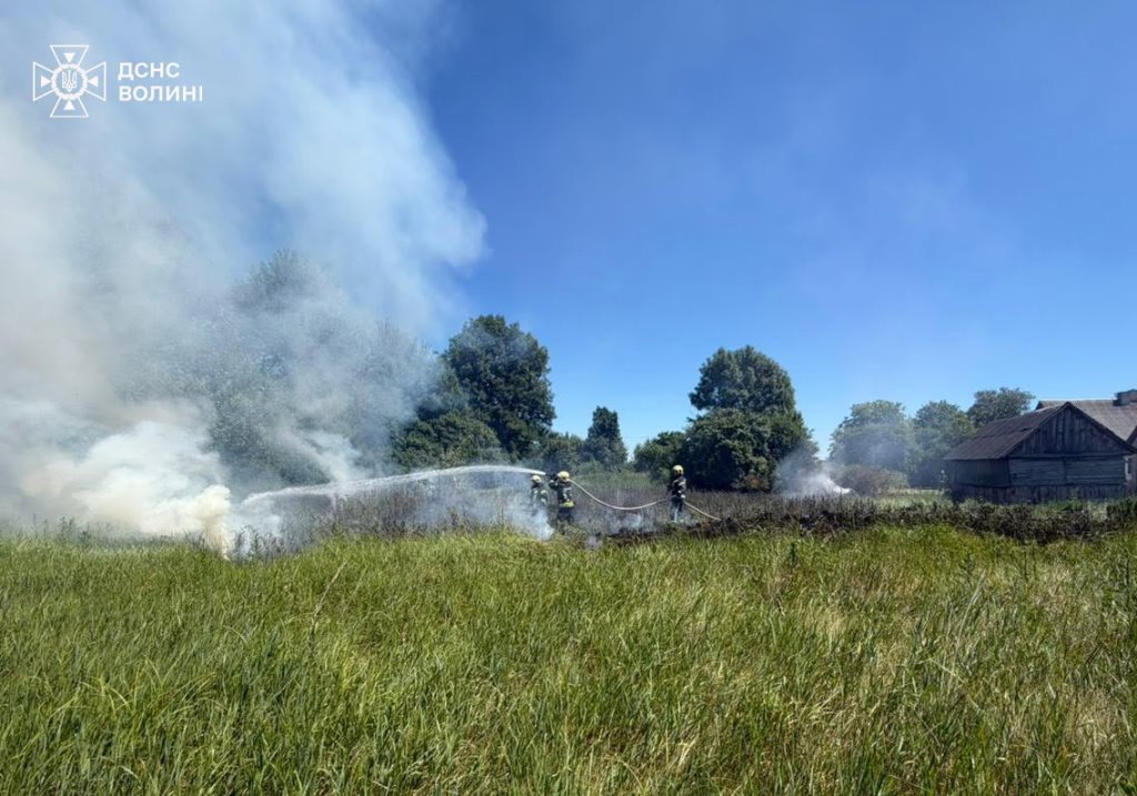 На Волині ліквідували 11 пожеж сухої рослинності