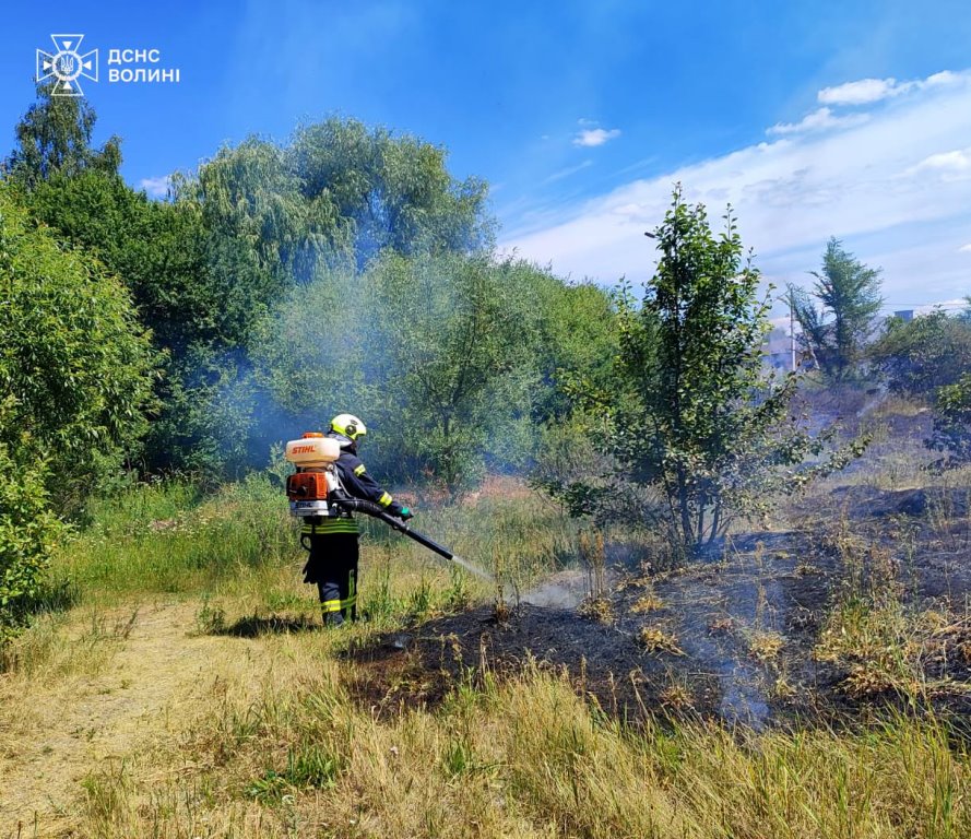 Горіли суха трава, чагарники та сміття: за добу на Волині гасили сім пожеж