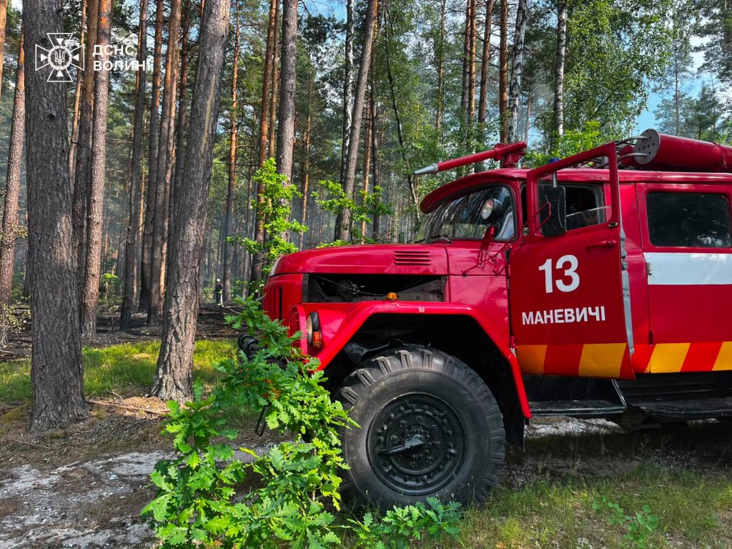 На Волині за добу гасили дев’ять пожеж в екосистемах