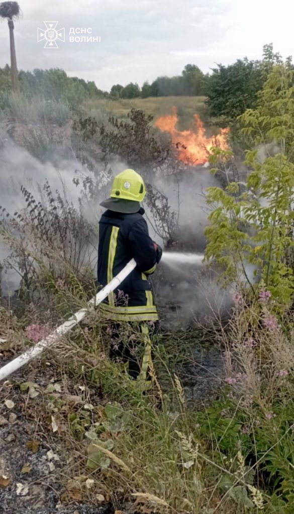 Волинські рятувальники ліквідували пожежу у п’ятиповерхівці та пожежі сухої трави