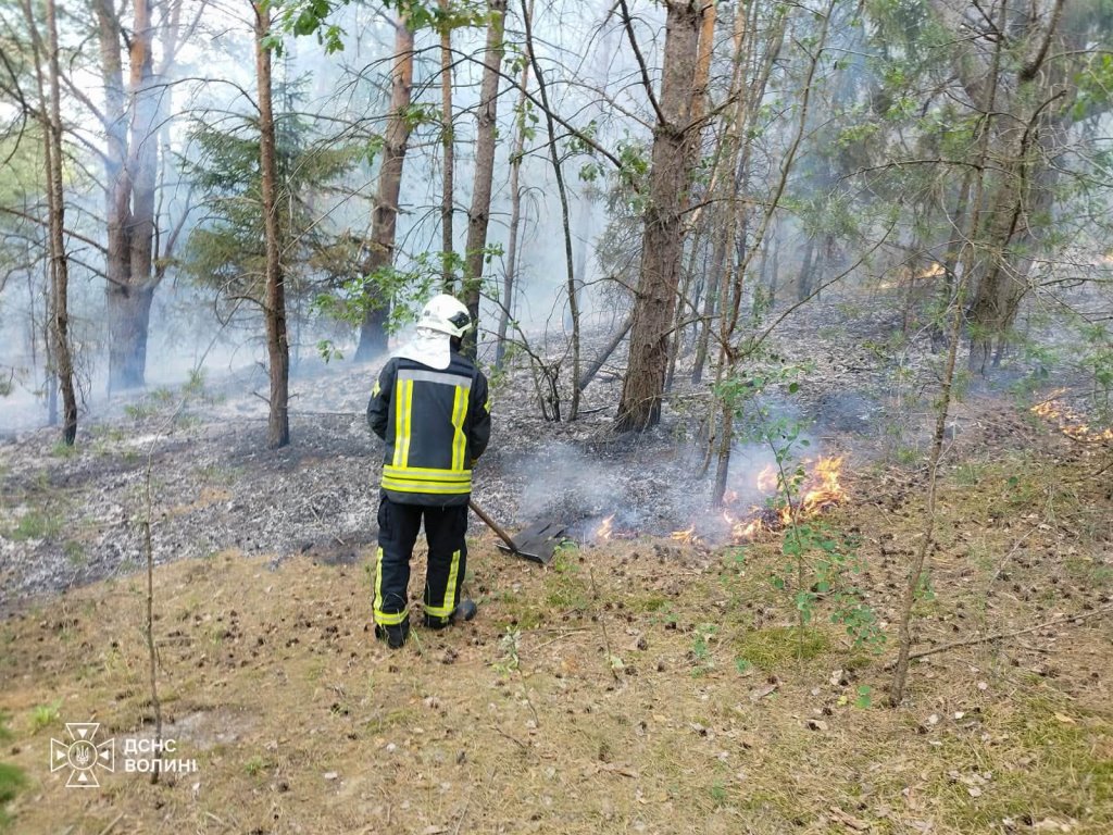 За добу на Волині ліквідували чотири пожежі сухої трави