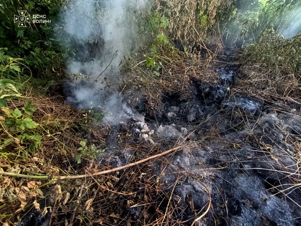 На Волині ліквідували дві пожежі на торфовищах